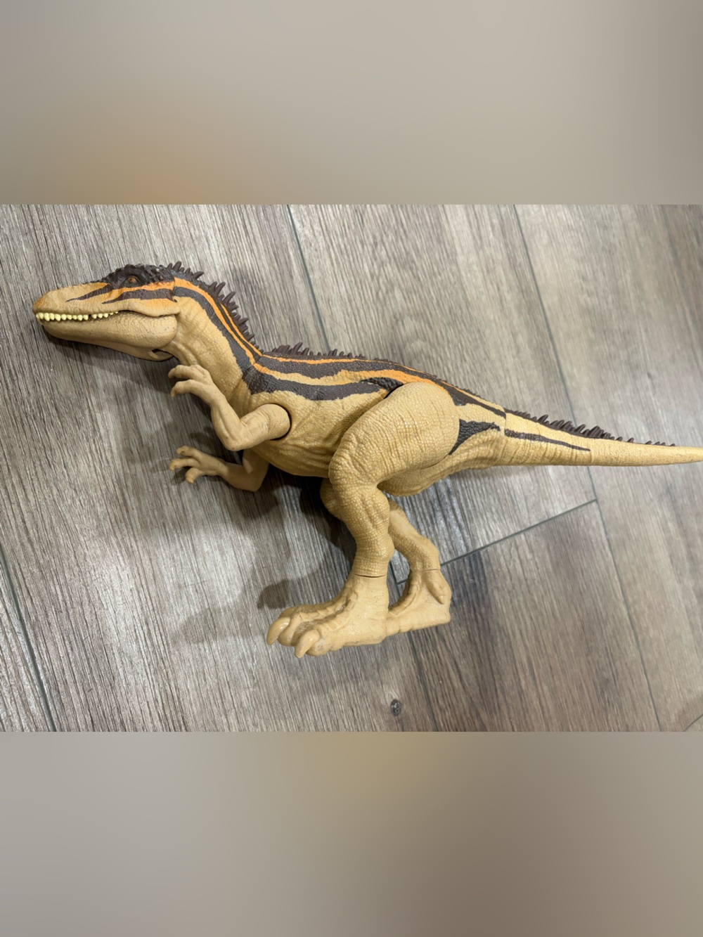 Jurassic World Carchardontosaurus